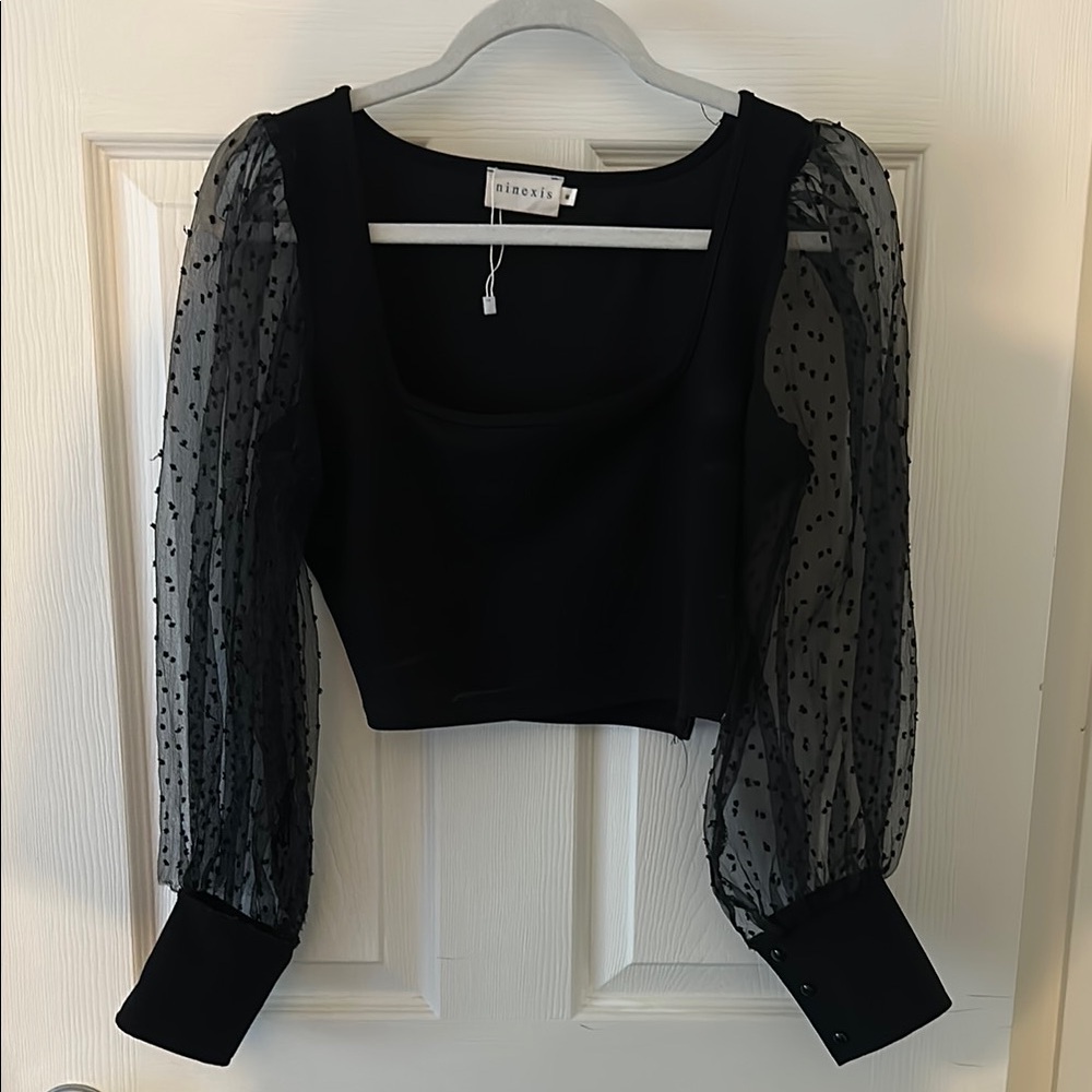 Black Fitted Long Sleeve Sheer Cropped Blouse